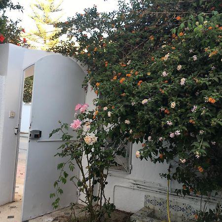 Studio Marsa La Marsa Zewnętrze zdjęcie