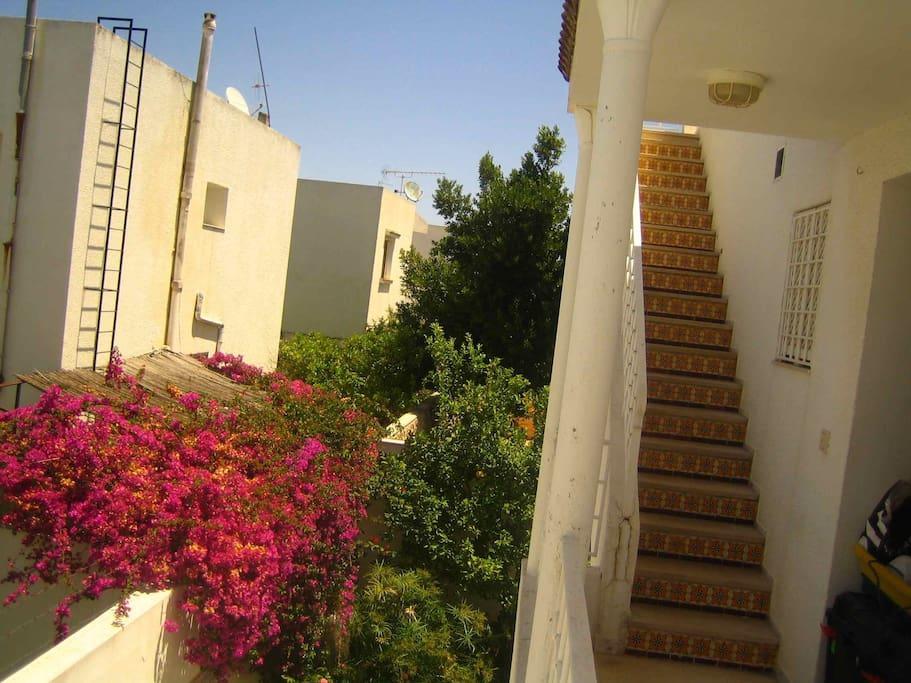 Studio Marsa La Marsa Zewnętrze zdjęcie