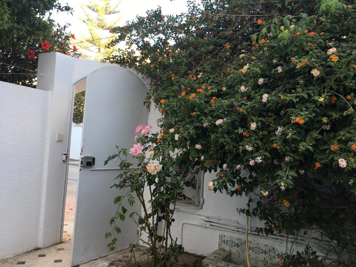 Studio Marsa La Marsa Zewnętrze zdjęcie